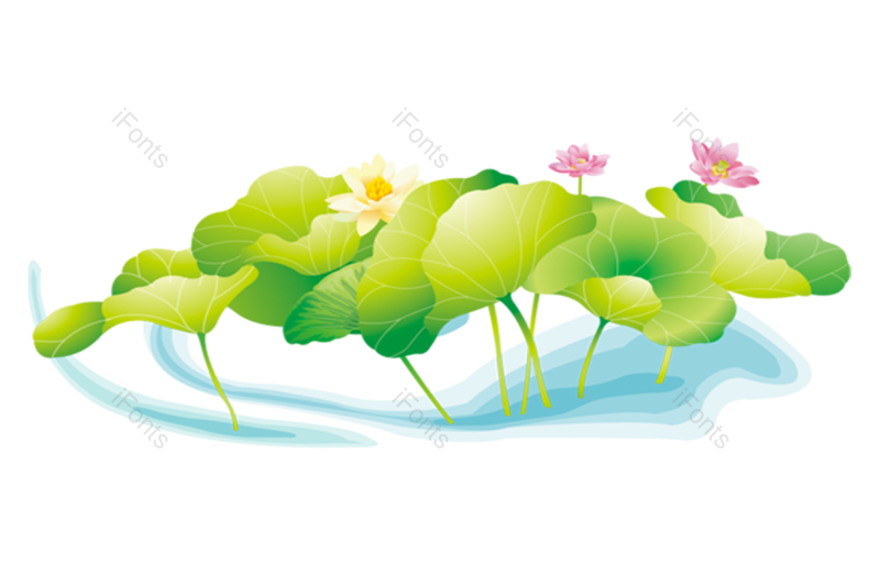 夏至图片,荷花元素,夏天PNG,花卉免抠素材